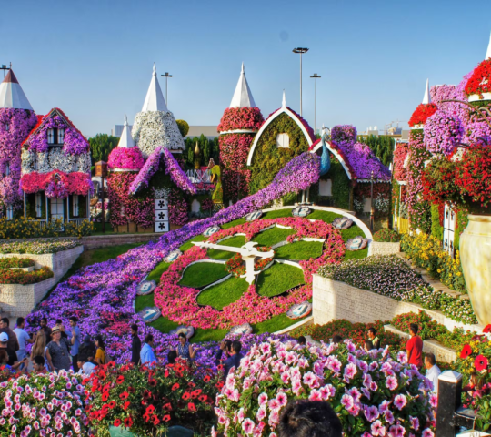 Miracle Garden